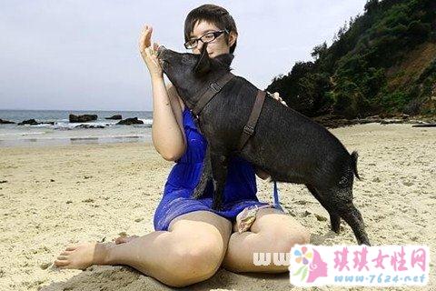 梦见妻子抱着猪