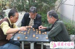 梦见下棋棋