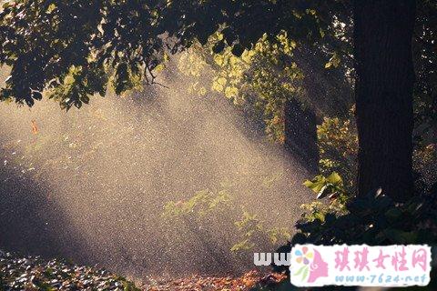 梦见太阳在雨中照耀