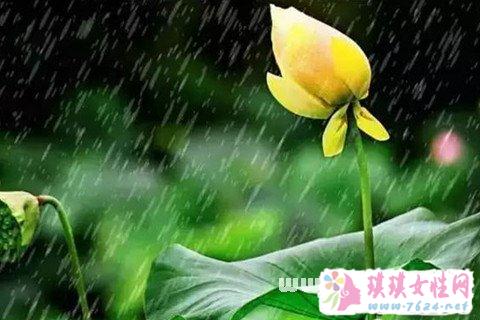 梦见细丝绵绵的梅雨