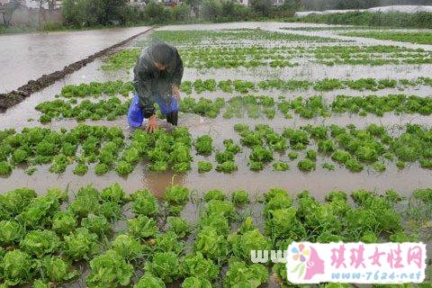 梦见田地被淹