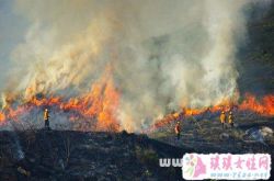 梦见大火烧山