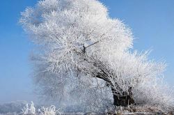 孕妇梦见雪