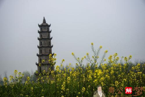 梦见修建塔