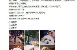 张馨予悼念去世爱犬