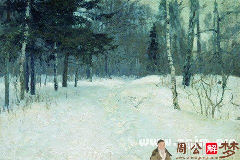 梦见雪地是什么意思