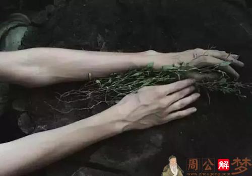 梦见手掌心钻出8条不同的虫子