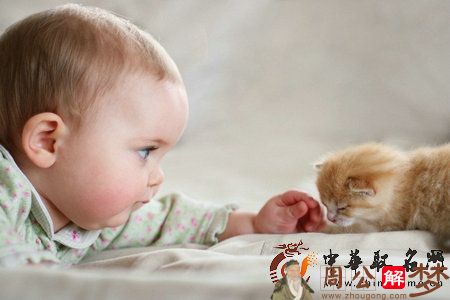 2019猴年好听的乳名大全！