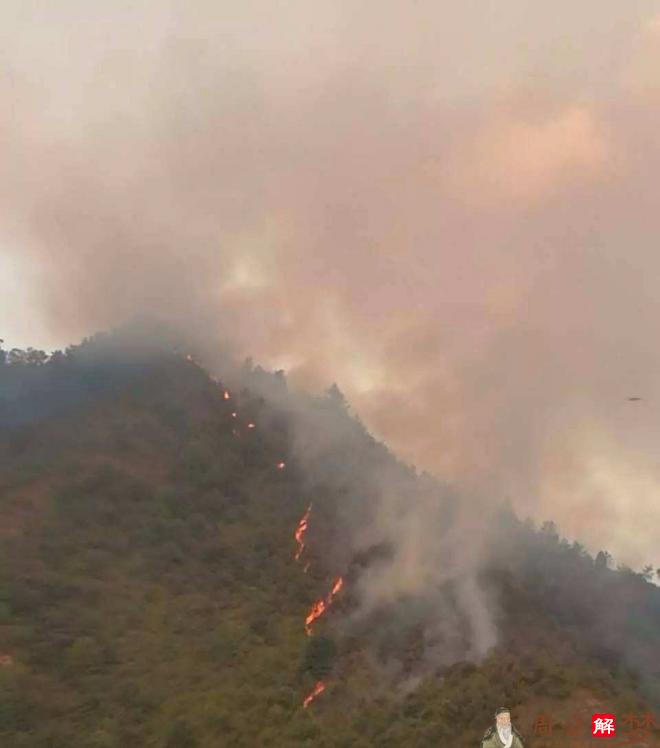 梦见火烧山