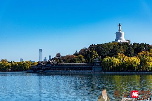 梦见梦大白蛇水中游走