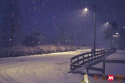 梦见大雪纷飞但是没有积雪