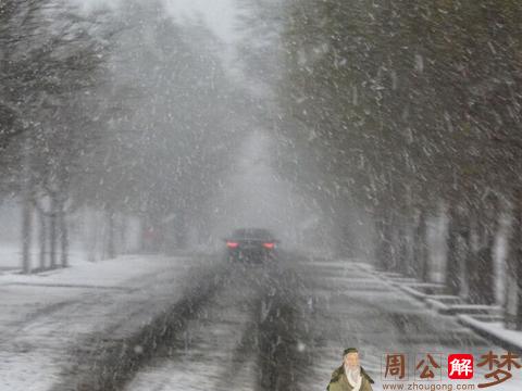 梦见雨夹雪