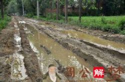 梦见下雨天走泥路