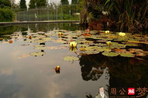 梦见姐姐掉进水里淹死